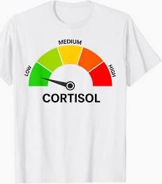 Low Cortisol Tee (Copy) (Copy)